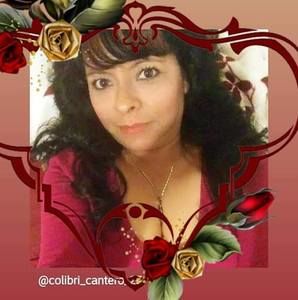 Meet your Posher, Colibri